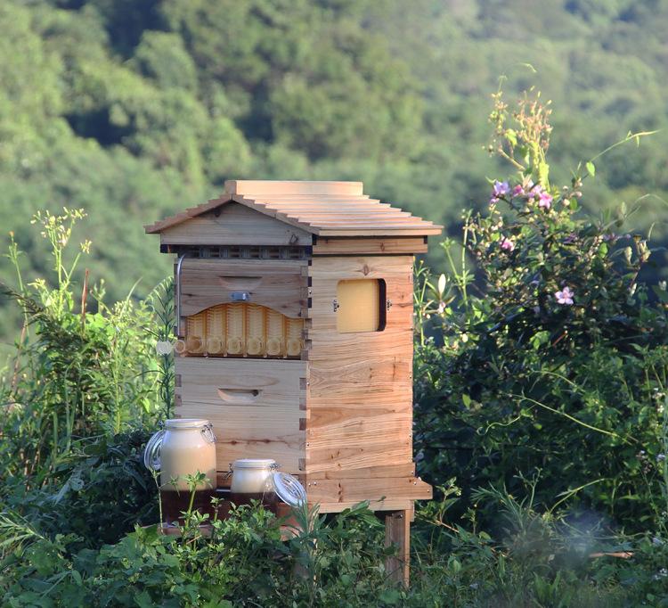 湖北蜂箱蜂具 湖北蜂箱蜂具